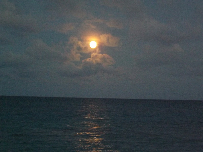 Moonlight on the ocean to say farewell!!!!