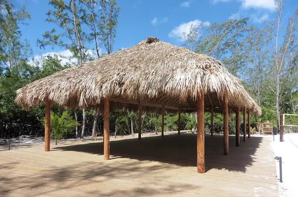 New Palapa for themed buffet evenings by flipflopman