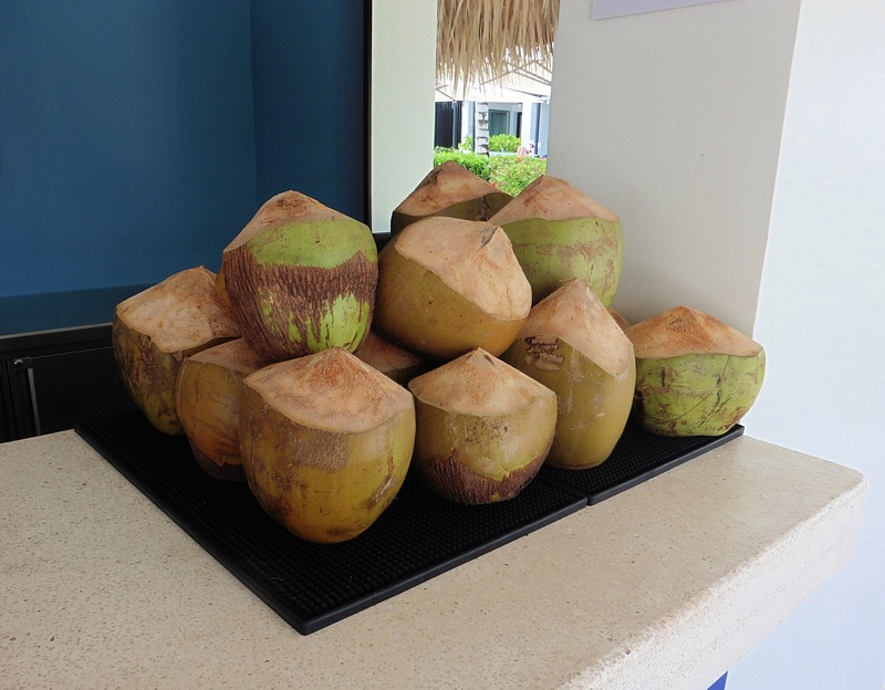 Coconut Anyone