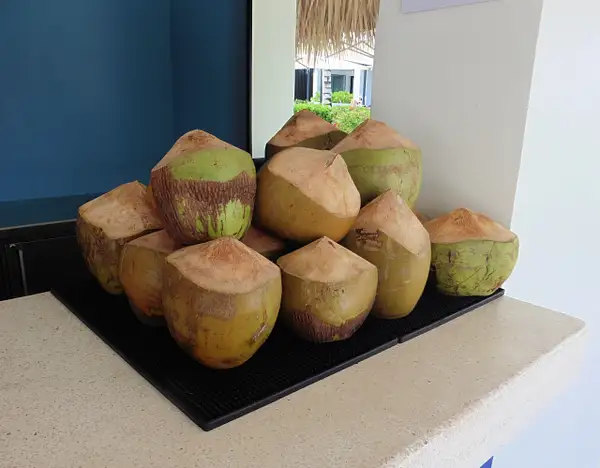 Coconut Anyone by flipflopman