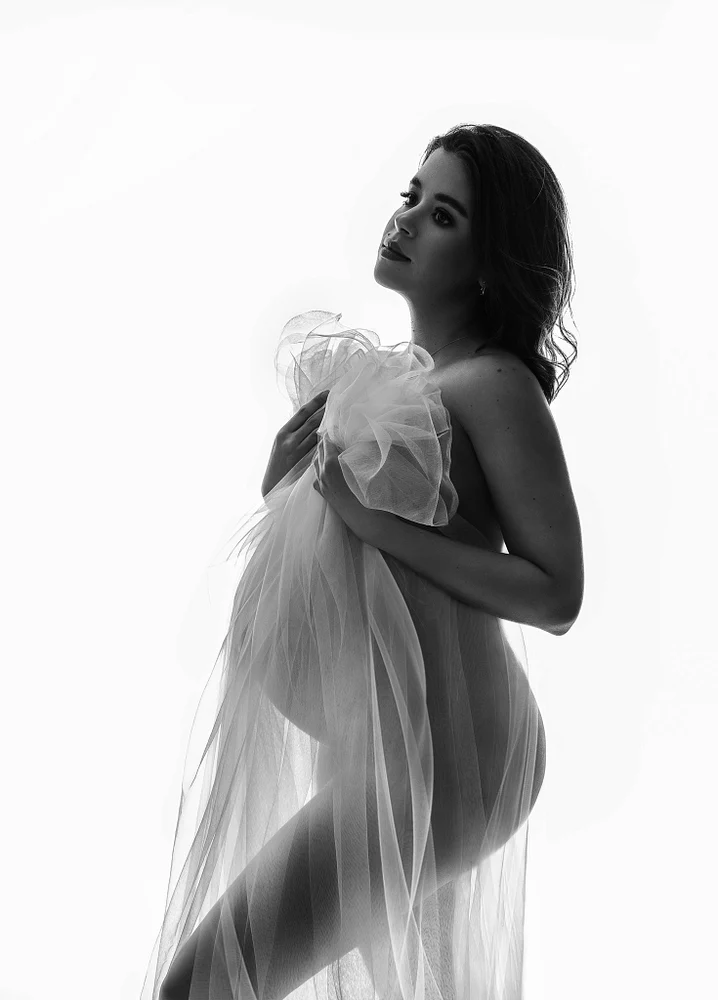 Elegant Maternity Silhouette in Sheer Fabric
