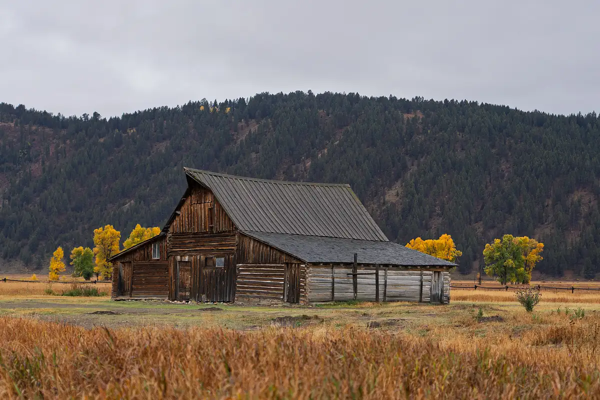 J. D'Agostino Photography