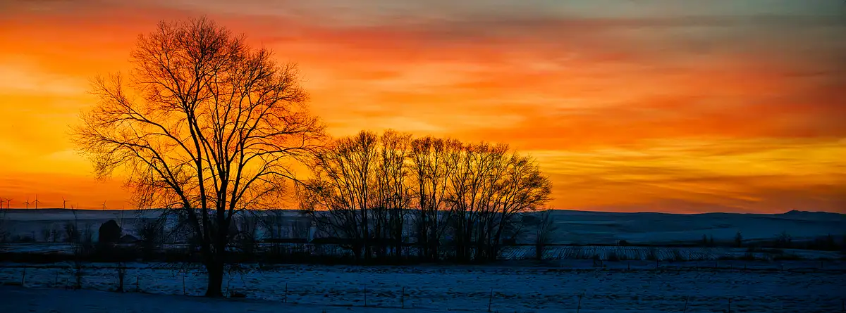 J. D'Agostino Photography