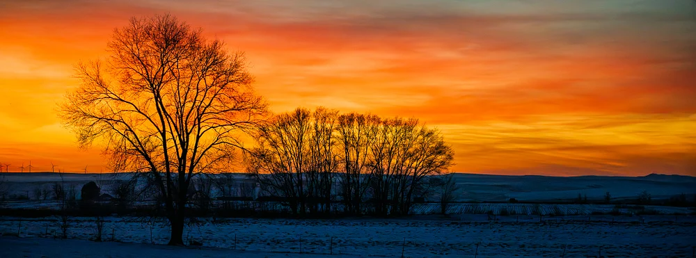 A vibrant sunset over Wendell, Idaho, with silhouetted trees against a colorful sky.
