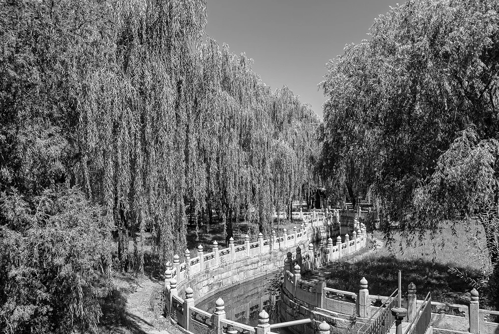 Imperial Palace Grounds-Bejing