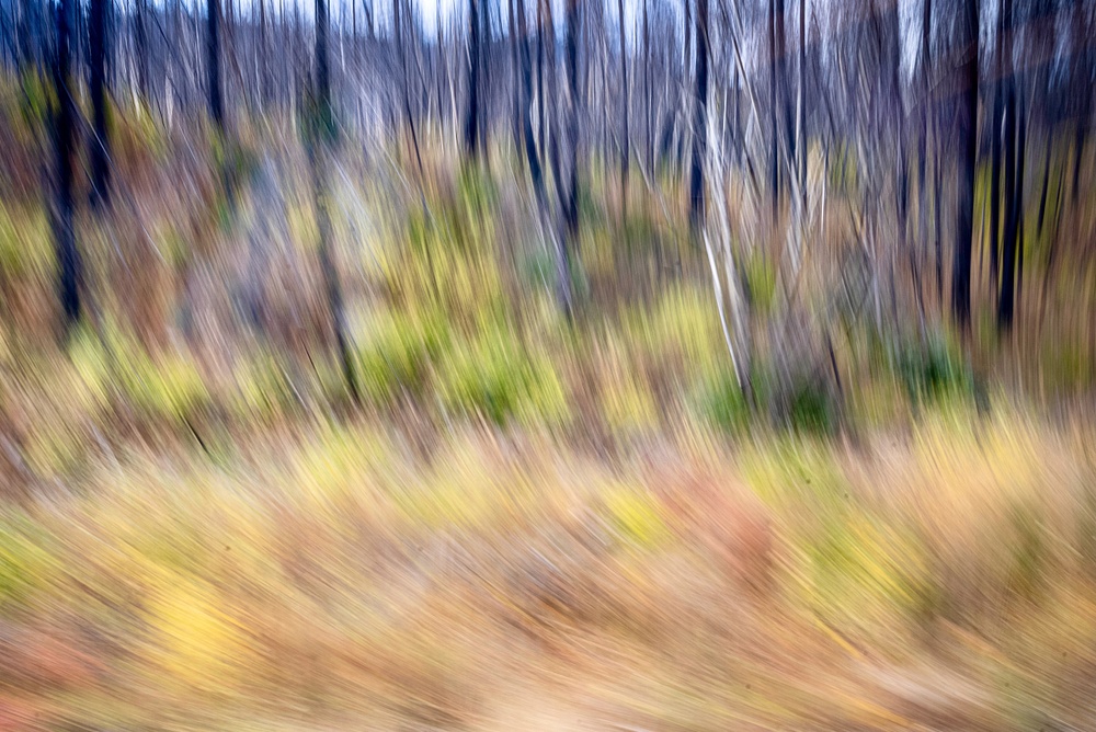 blurry landscape