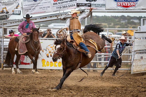 In Sync with the Bronc - Rozanne Hakala Photography