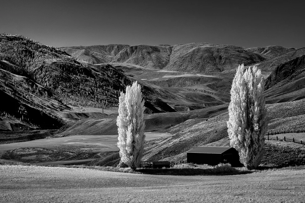 Desolate Beauty of South Thompson Benchland Farm - Website