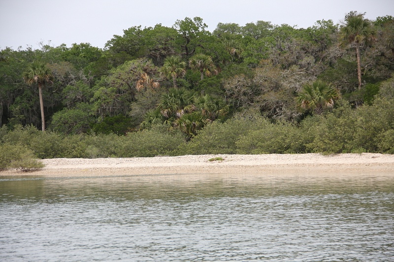 A quiet beach on the Intracoastal