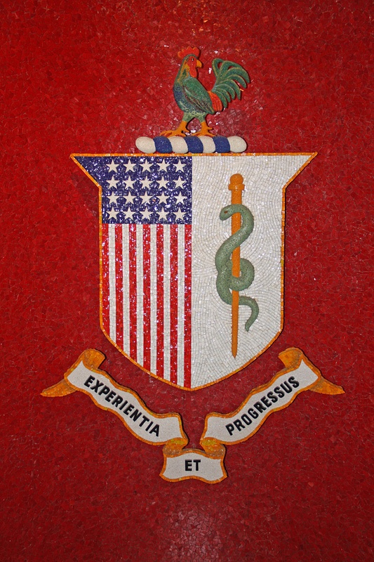 The Army Medical Dept Regimental Distinctive Insignia