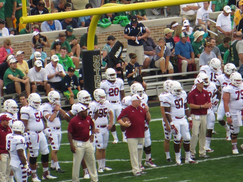 The Temple Owls