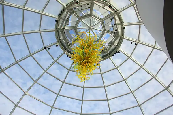 Chihuily chandelier. Phipps Conservatory by...