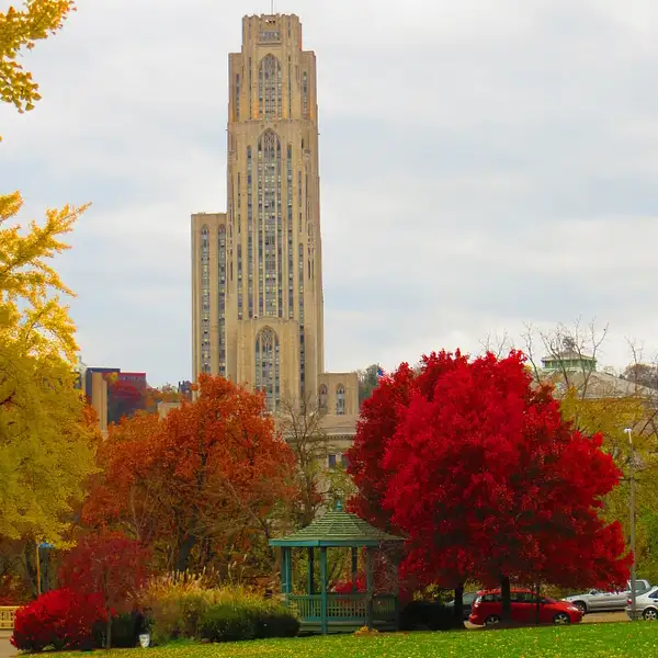 University of Pittsburgh by ThomasCarroll235