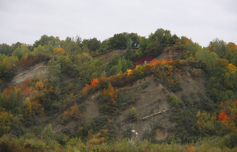 Autumnal hues in Romania