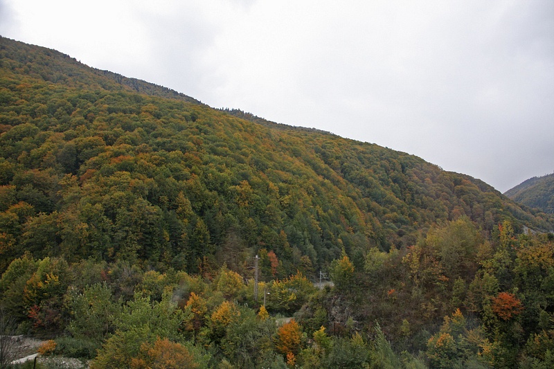 Autumn palate, Transylvania