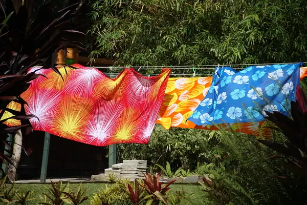 Freshly printed Batik wraps drying in the breeze by...