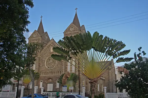 Immaculate Conception Cathedral and Fan Palm by...