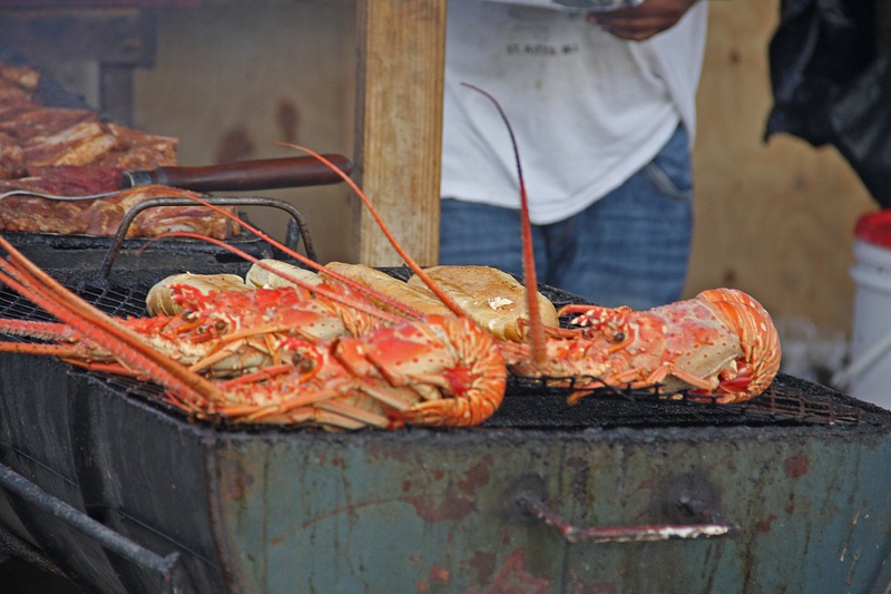 Grilled lobster anyone?