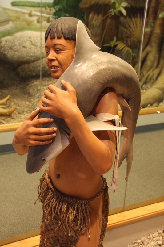 Florida Museum of Natural History-Young Seminole with a shark catch