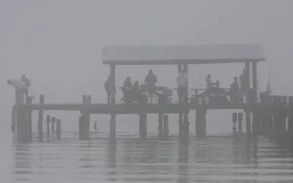 A foggy morning on Bokeelia Pier, Pine Island by...