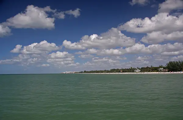 View of Naples Beach from the pier by ThomasCarroll235