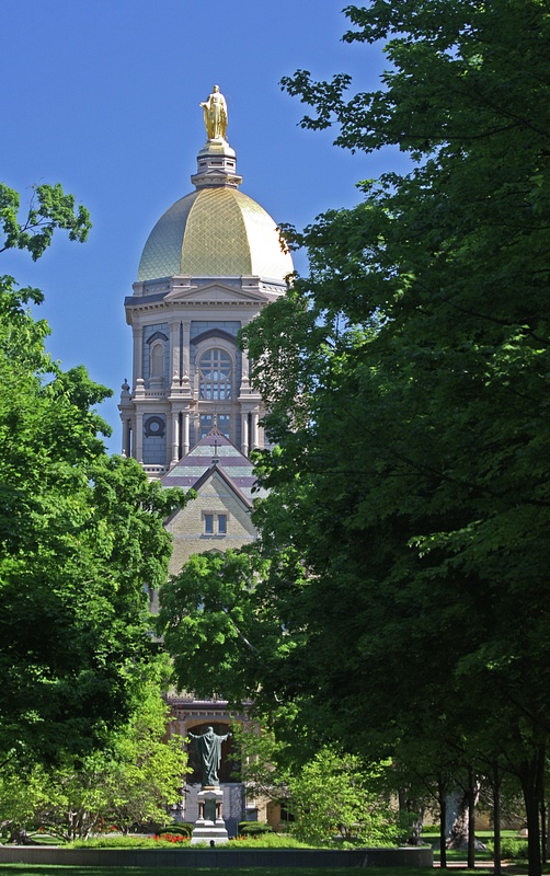 The Dome in June