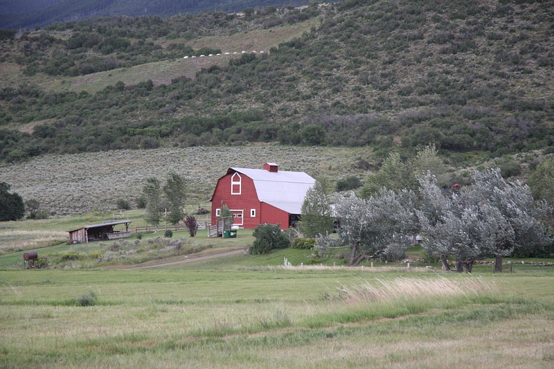 Colorado Countryside near Aspen