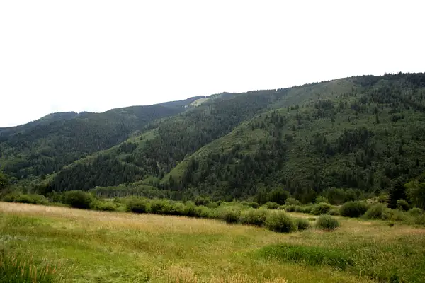 Countyside en route to Independence Pass by...