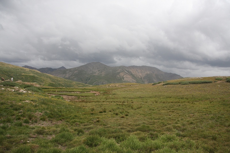 Meadow at Independence Pass