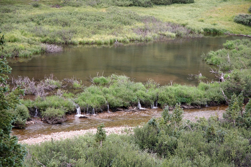 Roaring Fork River near Independence Pass