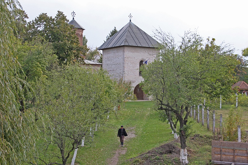 Fruit trees surrounding Snagov Monastery