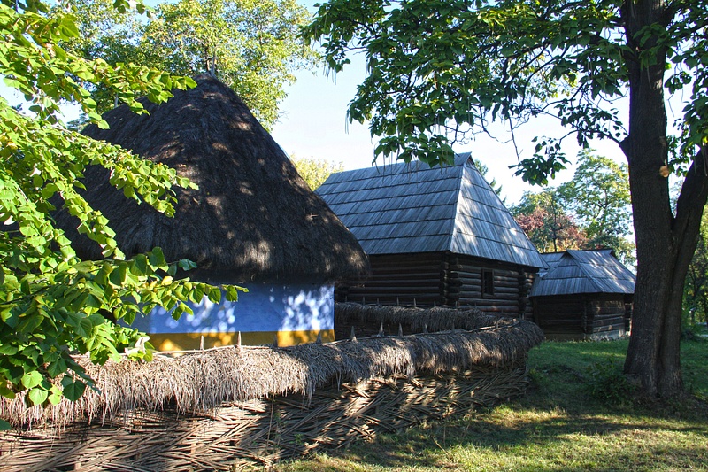 Thatched and wood shingled roofs
