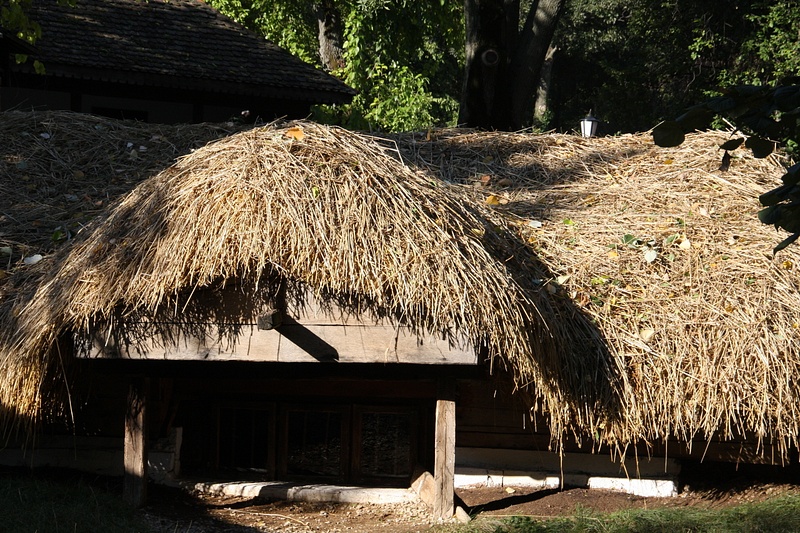 Earth houses of Straja, dug in to the ground and topped with thatch