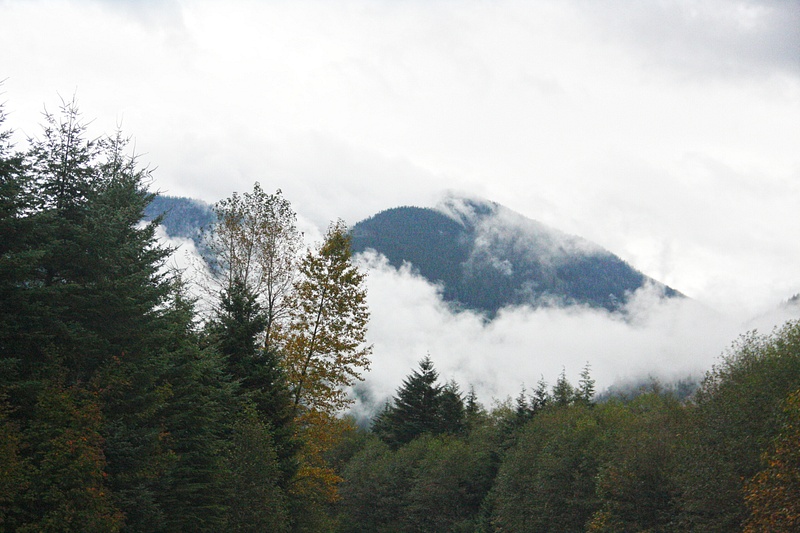 Deciduous trees are evident, but the slopes are dominated by conifers