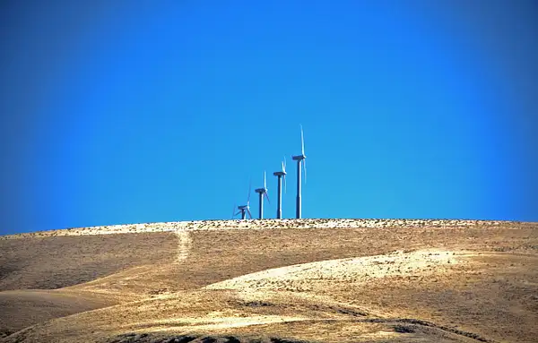 Wind Farm by ThomasCarroll235