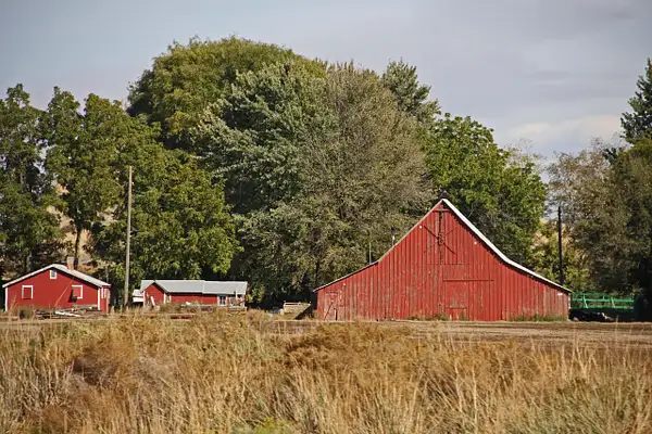 Classic red barn-South Washington by ThomasCarroll235