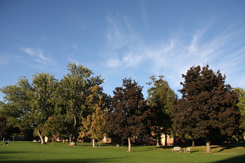 Whitman's leafy campus
