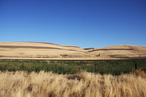 Post harvest landscape by ThomasCarroll235
