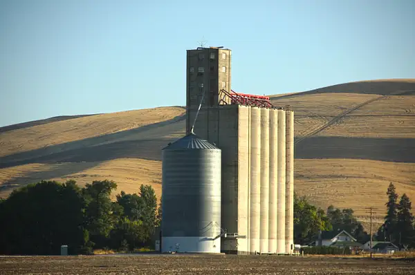 A big grain silo by ThomasCarroll235