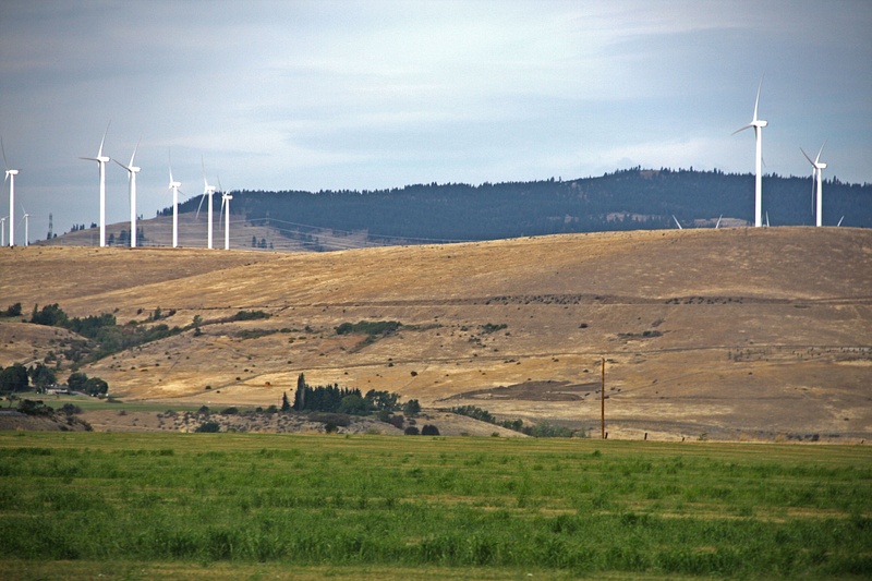Wind Farm, Central Washington