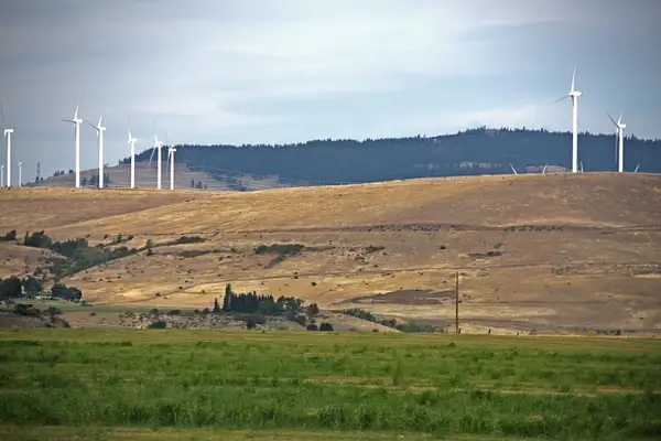 Wind Farm, Central Washington by ThomasCarroll235
