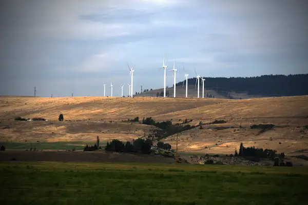 Wind Farm, Central Washington by ThomasCarroll235