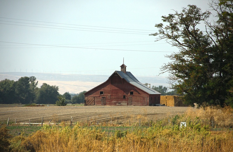 Classic Barn, near Walla Walla
