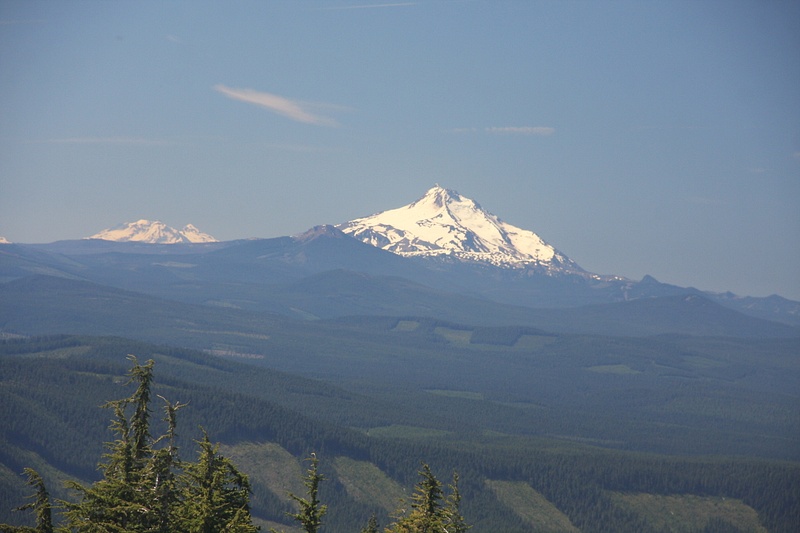 Mt Jefferson and the Sisters from Mt Hood