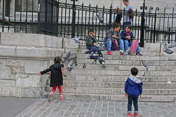 Children chasing pigeons on Sacré-Cœur's steps