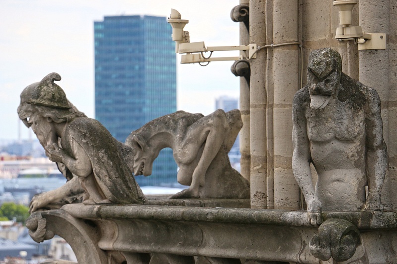 Chimeras, Cathedral of Notre Dame