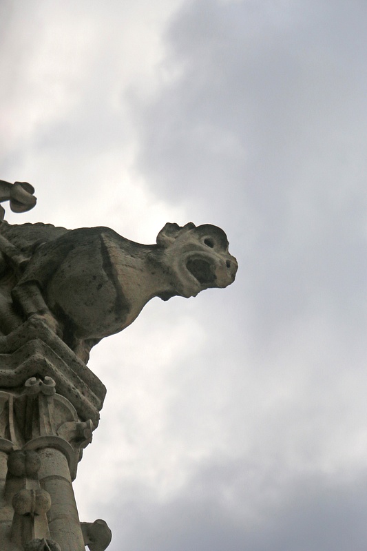 Gargoyle, Cathedral of Notre Dame