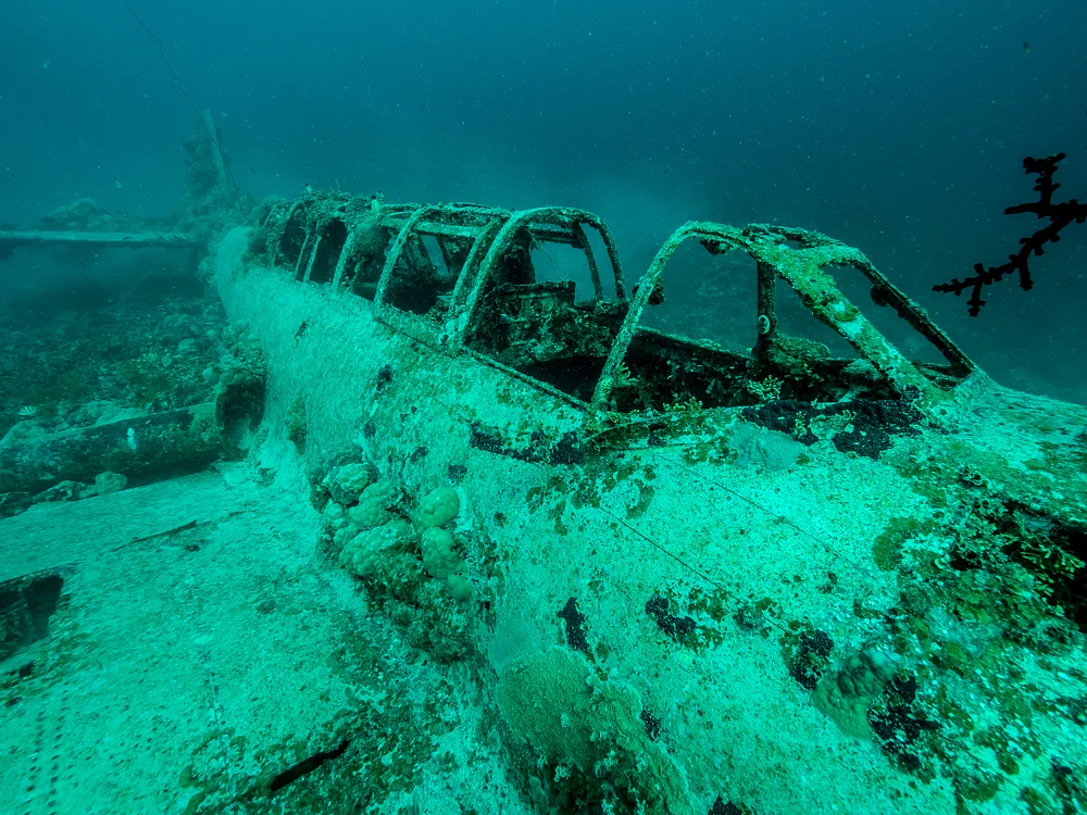 GLM - P7090211