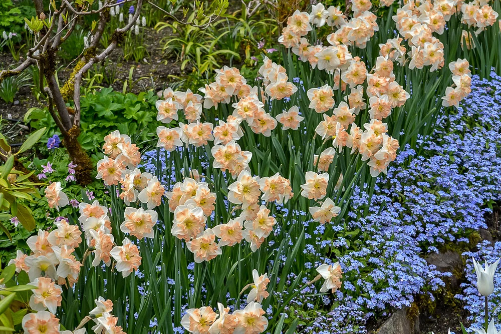 DSC_0165