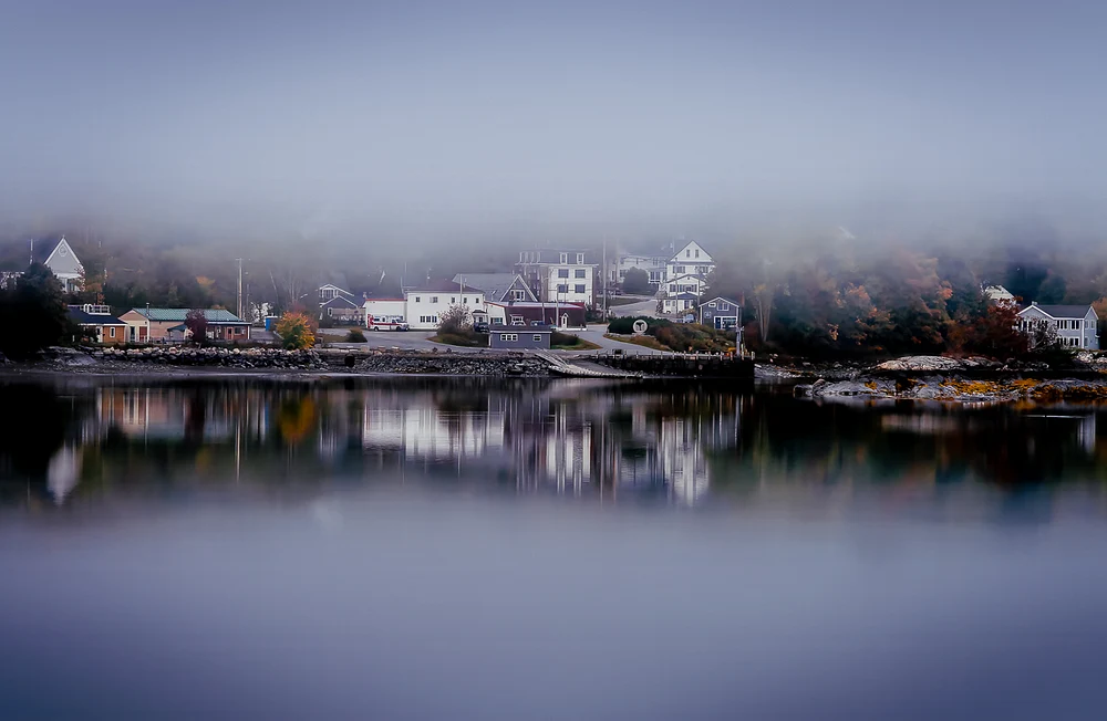 Fogged In
